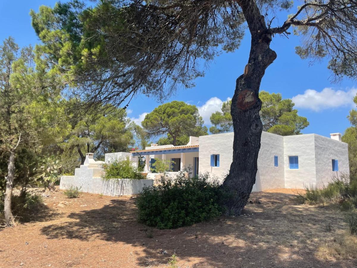 Villa Sa Tanca Des Pla San Francisco Javier Exterior foto